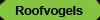 Roofvogels